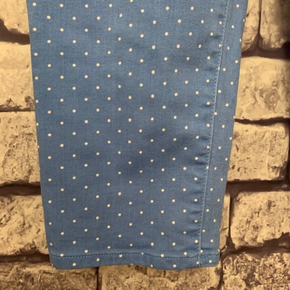 Talbots Blue & White Polka Dot Pants Size 14P - Picture 4 of 9
